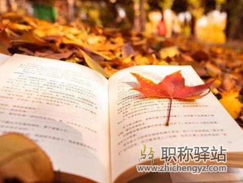 市级课题研究都需要哪些资料