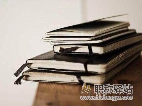 论文进入二审及外审还能加作者吗