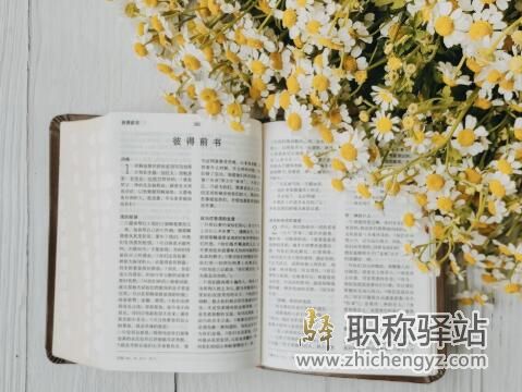 发表论文对出国有用吗