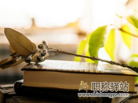 有没有汽车方面的英文EI推荐
