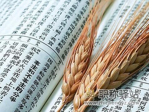 专利评职称可以累计加分吗