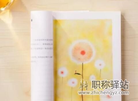 sci特刊有没有正式刊号