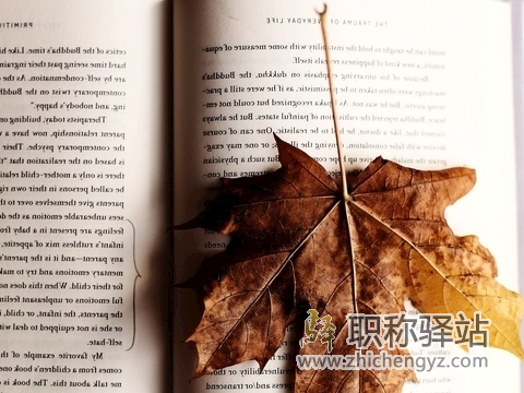 专利与论文哪个对职称申报更有用