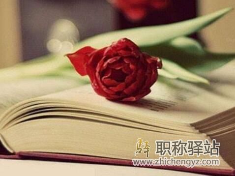 课题证书是不是都有二维码