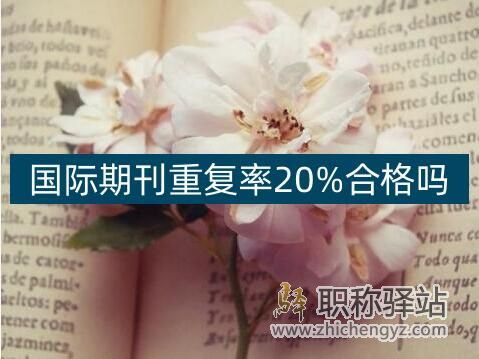 国际期刊重复率20%合格吗