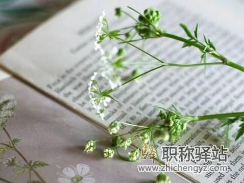 申报省级课题对主持人的要求