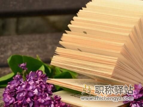 学术著作是什么意思