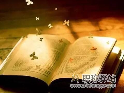 独著文章好吗