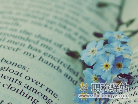 编书重复率一般要求多少