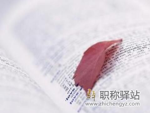 小课题与子课题哪个好